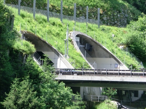 Naxberg Tunnel northern portals
