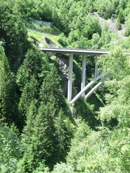 Naxberg Bridge and on the left, Naxberg Tunnel northern portals