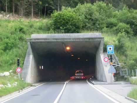 Tunnel Steglaui