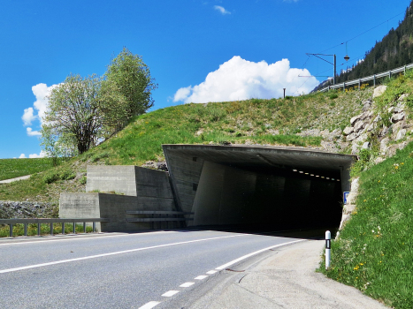 Buel Tunnel