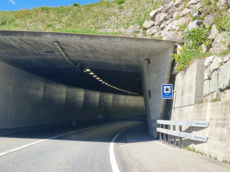 Buel Tunnel