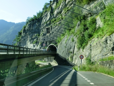 Mosi-Tunnel