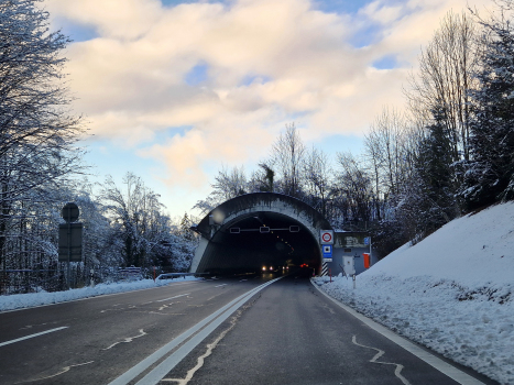 Tunnel Spiezwiler