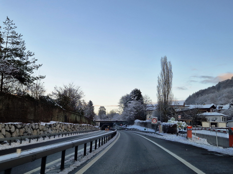 Tunnel Leimern