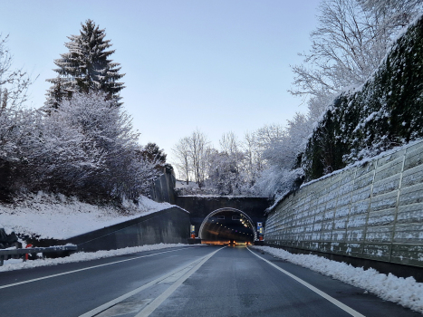 Tunnel de Leimern