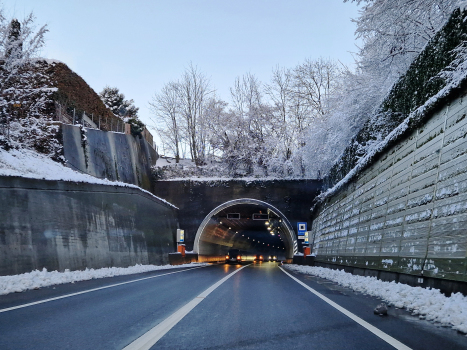 Tunnel de Leimern