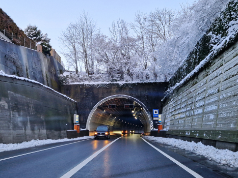 Tunnel de Leimern