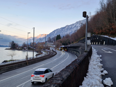 Leissigen-Tunnel