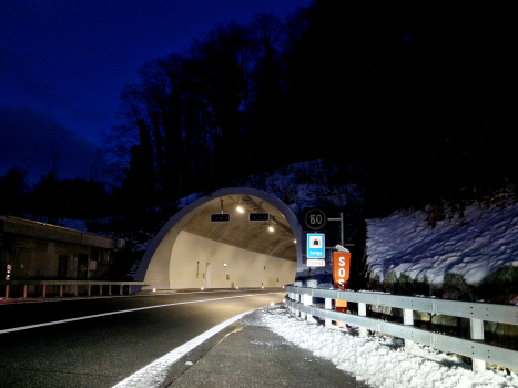 Tunnel Sengg