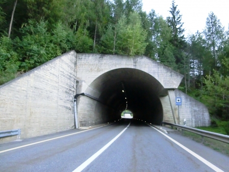 Bachwald Tunnel northern portal