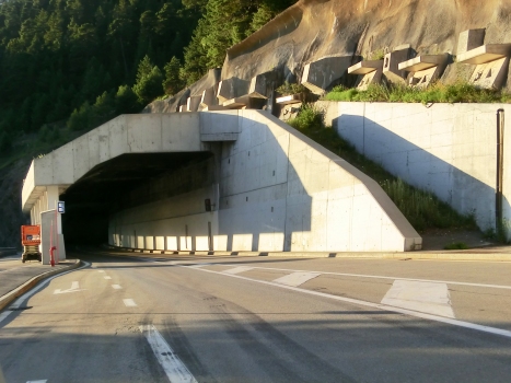 Schallberg Tunnel southern portal