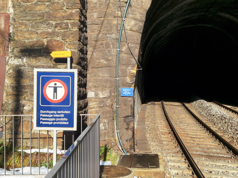 Tunnel Eggerberg