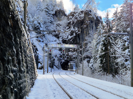 Tunnel Felsenburg 1