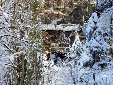 Tunnel Felsenburg 1