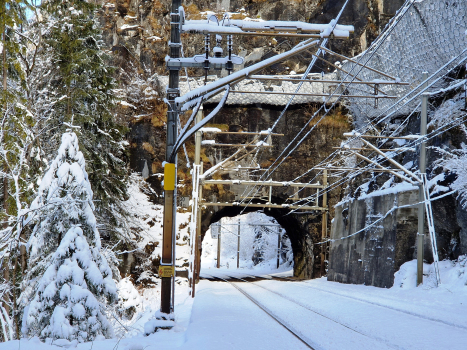 Tunnel Felsenburg 1