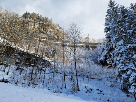 Eisenbahnviadukt Felsenburg