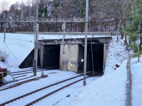 Tunnel Hondrich