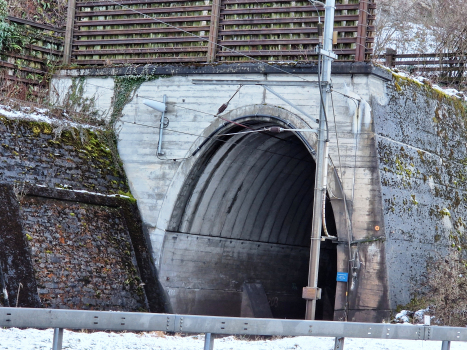 Tunnel Krattighalde