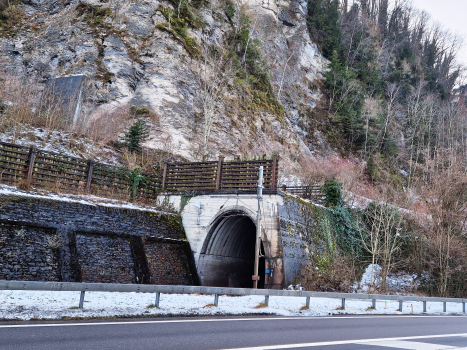 Tunnel Krattighalde