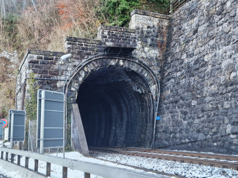 Tunnel Krattighalde