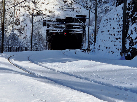 Tunnel Riedschuk