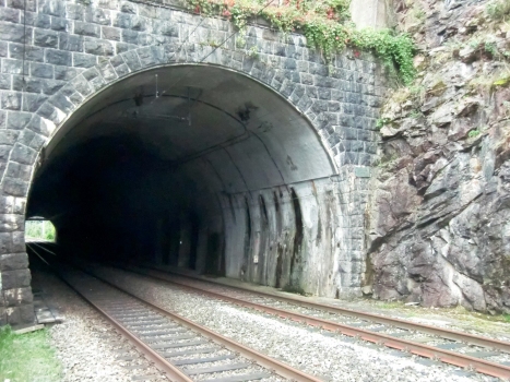 Büel Tunnel western portal