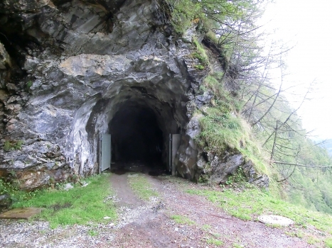 Carassina Tunnel northern portal