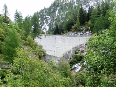 Carassina Dam