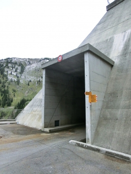Luzzone Dam Tunnel southern portal