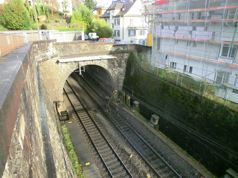 Tunnel de Gütsch