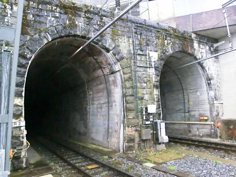 Tunnel Lopper 2