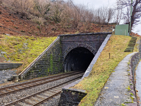 Tunnel Lume