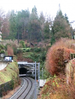 Musegg Tunnel western portal