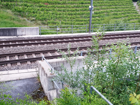 Pont ferroviaire de Leuk