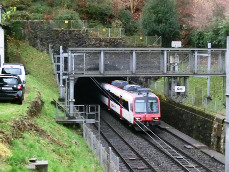 Schönheim Tunnel northern portal