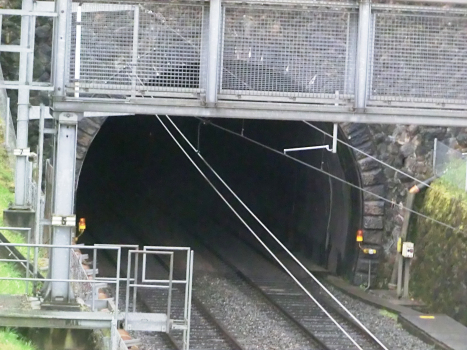 Tunnel de Schönheim