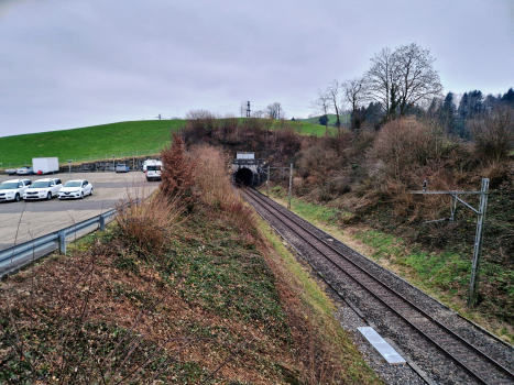 Tunnel de Schwarzenbach