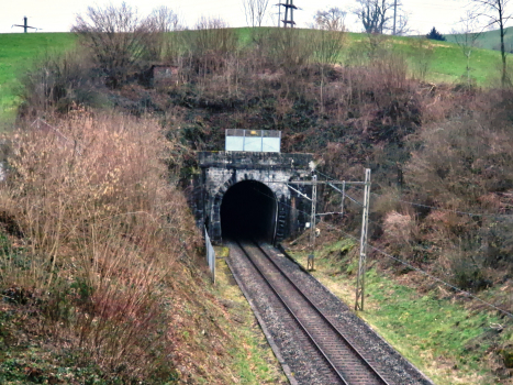 Tunnel de Schwarzenbach