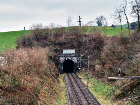 Tunnel de Schwarzenbach