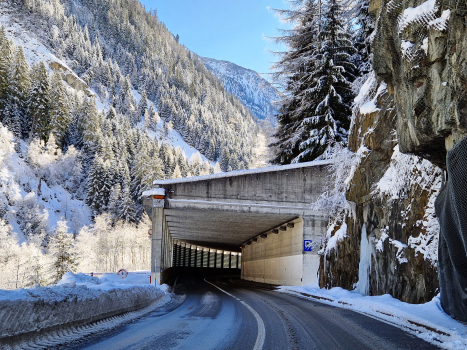 Tunnel Haselleen