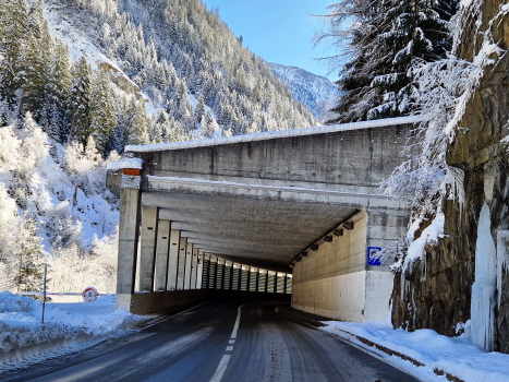 Tunnel Haselleen