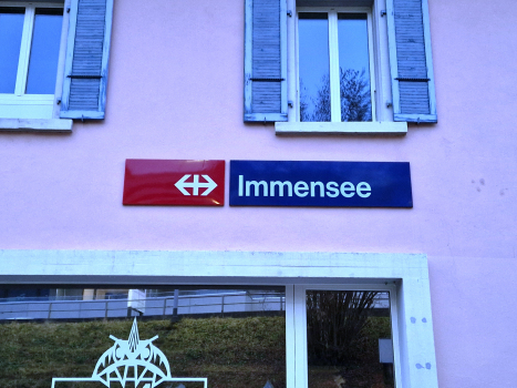 Immensee Station