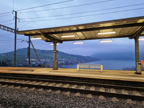 Immensee Station