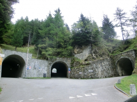 Luzzone Tunnels: (from left to right) Luzzone II, III and IV Tunnels western portals