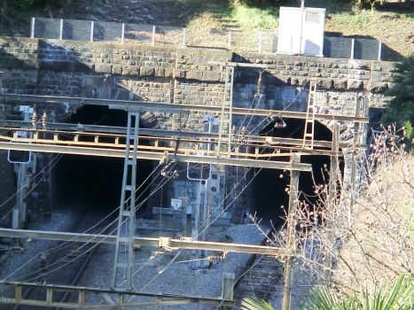 Massagno Tunnel southern portals