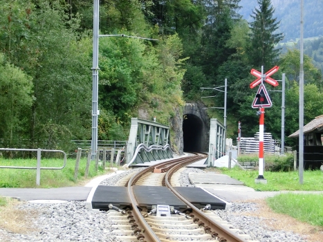 Eisenbahntunnel Cheisten