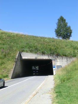Blitzingen Road Tunnel eastern portal