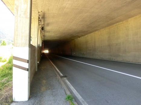Blitzingen Road Tunnel western portal