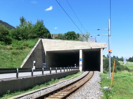 Niederwald Tunnel western portal