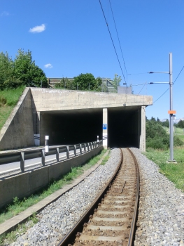 Niederwald Tunnel western portal